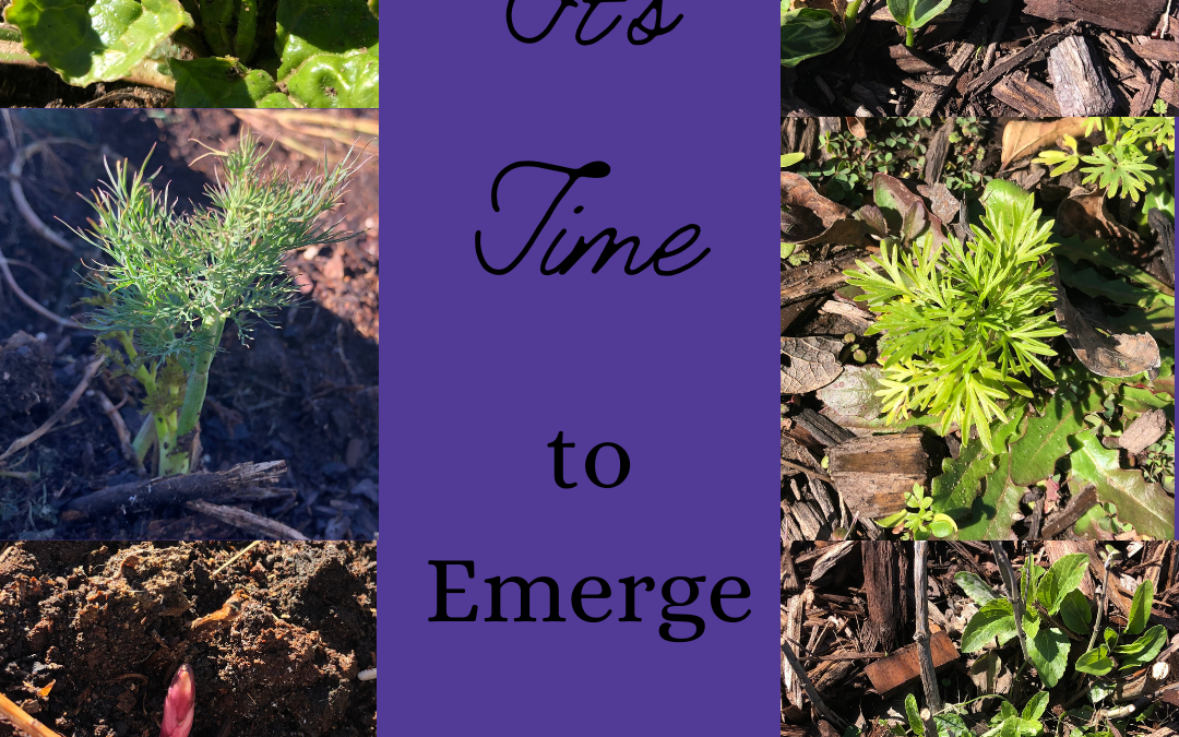 It’s Time to Emerge